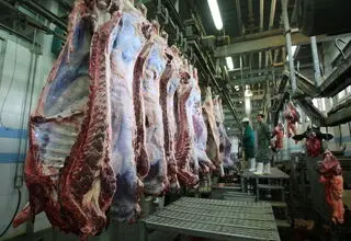 بازار گوشت و دام در وضعیت عادی است