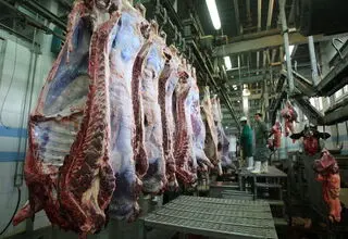بازار گوشت و دام در وضعیت عادی است