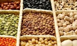 تامین ۳۰ تا ۳۵ درصدی حبوبات از طریق واردات