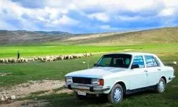 زایمان تلفنی در خودروی پیکان