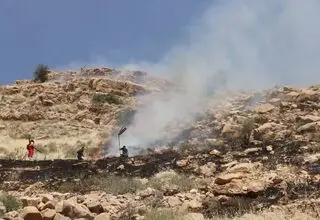 آتش‌سوزی گسترده در ارتفاعات کوه دراک شیراز مهار شد
