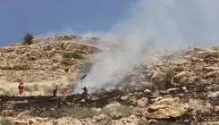آتش‌سوزی گسترده در ارتفاعات کوه دراک شیراز مهار شد