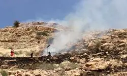 آتش‌سوزی گسترده در ارتفاعات کوه دراک شیراز مهار شد