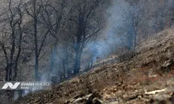 عملیات اصلی اطفای حریق جنگل‌های مازندران به پایان رسید/ لکه‌گیری همچنان ادامه دارد