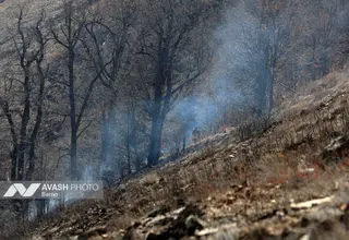 عملیات اصلی اطفای حریق جنگل‌های مازندران به پایان رسید/ لکه‌گیری همچنان ادامه دارد