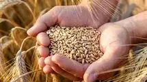 کمبودی در زمینه تامین آرد واحدهای خبازی وجود ندارد