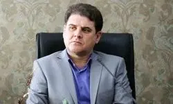زینی‌وند: قانون احزاب در حال بازنگری است