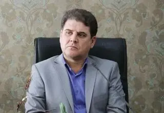 زینی‌وند: قانون احزاب در حال بازنگری است