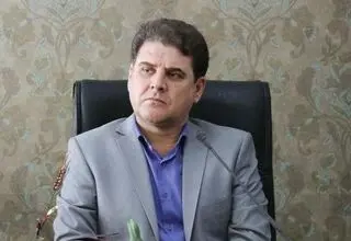 زینی‌وند: قانون احزاب در حال بازنگری است