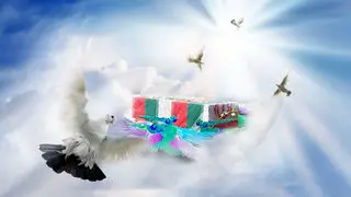 شهادت دانشجوی نخبه دکتری در پی حملات اخیر