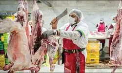 عرضه گوشت با نرخ ۳۸۵ هزارتومان در فروشگاه‌های زنجیره‌ای