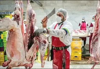 عرضه گوشت با نرخ ۳۸۵ هزارتومان در فروشگاه‌های زنجیره‌ای