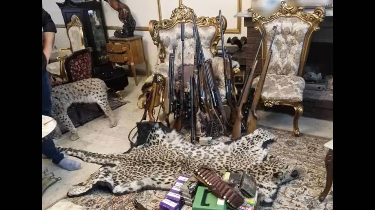 محموله بزرگ حیوانات تاکسیدرمی و سلاح در تهران کشف شد