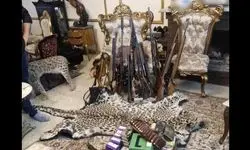 محموله بزرگ حیوانات تاکسیدرمی و سلاح در تهران کشف شد