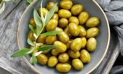 ایران؛ سرزمین زیتون‌های فراموش‌شده