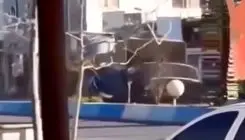  صحنه ای هالیودی از پرواز سانتافه در رویان شهرستان نور+فیلم