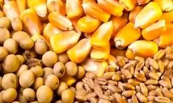 قیمت خرید تضمینی جو و ذرت رسماً اعلام شد