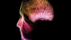 مدیتیشن فعالیت مغز را تغییر می‌دهد