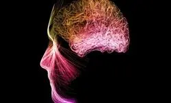 مدیتیشن فعالیت مغز را تغییر می‌دهد