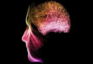 مدیتیشن فعالیت مغز را تغییر می‌دهد