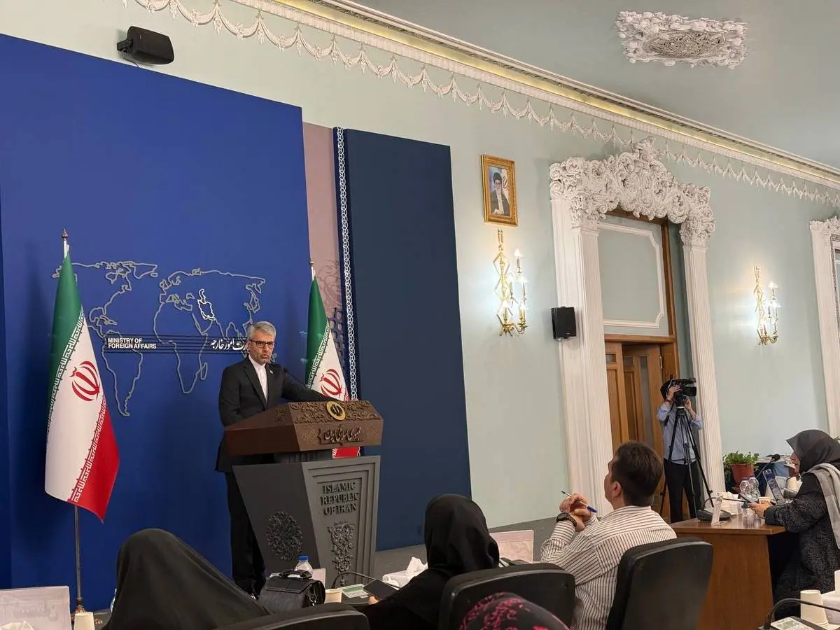 بقائی: آمریکا برای هیئت ایرانی ویزا صادر کرد