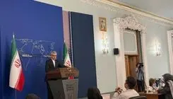 بقائی: آمریکا برای هیئت ایرانی ویزا صادر کرد