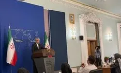 بقائی: آمریکا برای هیئت ایرانی ویزا صادر کرد