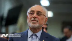 دیپلماسی فرهنگی زمینه شناخت و کاهش فاصله‌ها را فراهم می‌کند