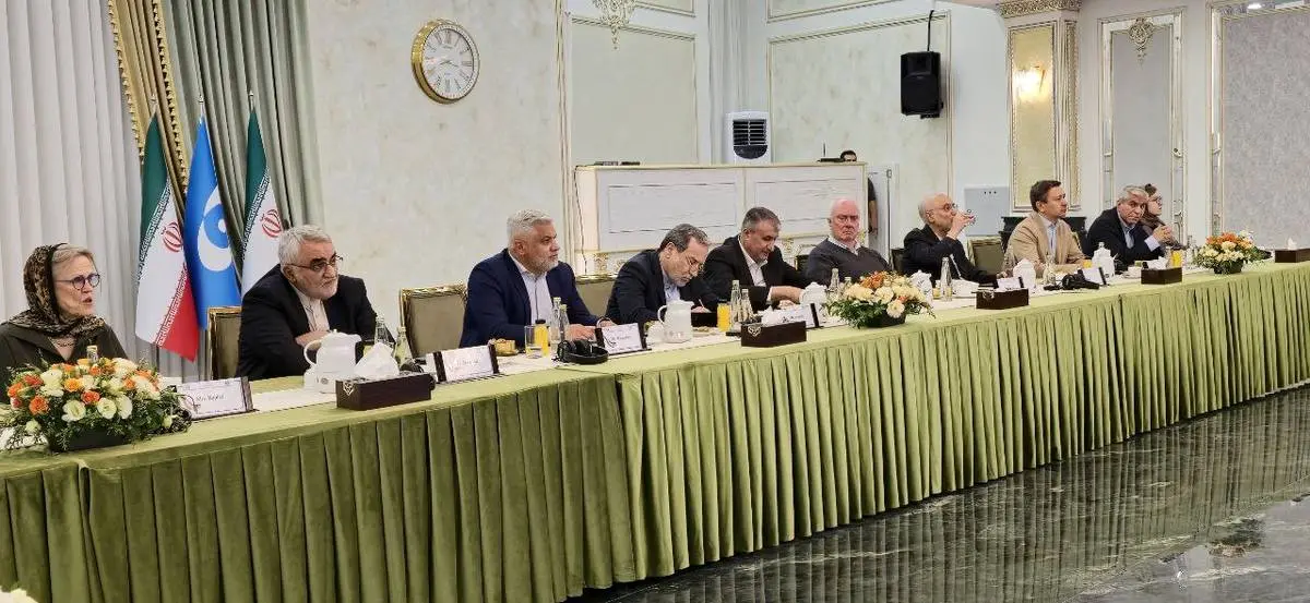 اعضای نهاد بینالمللی مقابله با سلاحهای هستهای با مسئولان ایرانی دیدار کردند