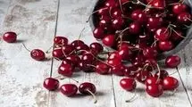 پس از گوجه سبز؛ این بار گیلاس نجومی شد 