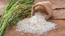 قیمت برنج هندی و پاکستانی اعلام شد