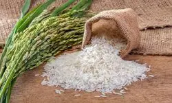 قیمت برنج هندی و پاکستانی اعلام شد