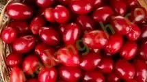 این میوه کوچک با خواص شگفت‌انگیز را بشناسید