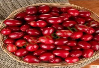 این میوه کوچک با خواص شگفت‌انگیز را بشناسید