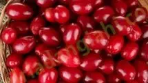 این میوه کوچک با خواص شگفت‌انگیز را بشناسید
