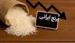 اختلاف قیمت عجیب برنج ایرانی در بازار ایران