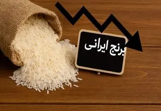 اختلاف قیمت عجیب برنج ایرانی در بازار ایران