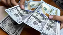 تامین ۳۹ میلیارد و ۸۵۰ میلیون دلار ارز واردات از سوی بانک مرکزی