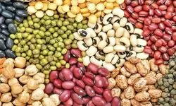لوبیا چیتی در بازار به کیلویی ۸۱۲ هزار تومان رسید؛ دانه‌ای ۴۰۰ تومان!