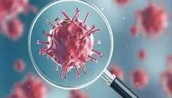 عبور کرونا از آستانه هشدار بالا/ آنفلوآنزا نوع B در گردش