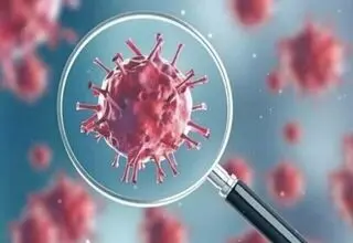 عبور کرونا از آستانه هشدار بالا/ آنفلوآنزا نوع B در گردش