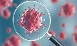عبور کرونا از آستانه هشدار بالا/ آنفلوآنزا نوع B در گردش