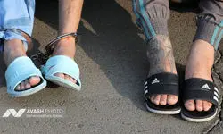 از انهدام باند سارقان کابل برق و قاچاقان چوب در مازندران