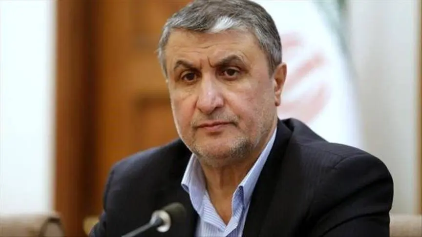 اسلامی: خروج از NPT در دستورکار دولت و کشور نیست