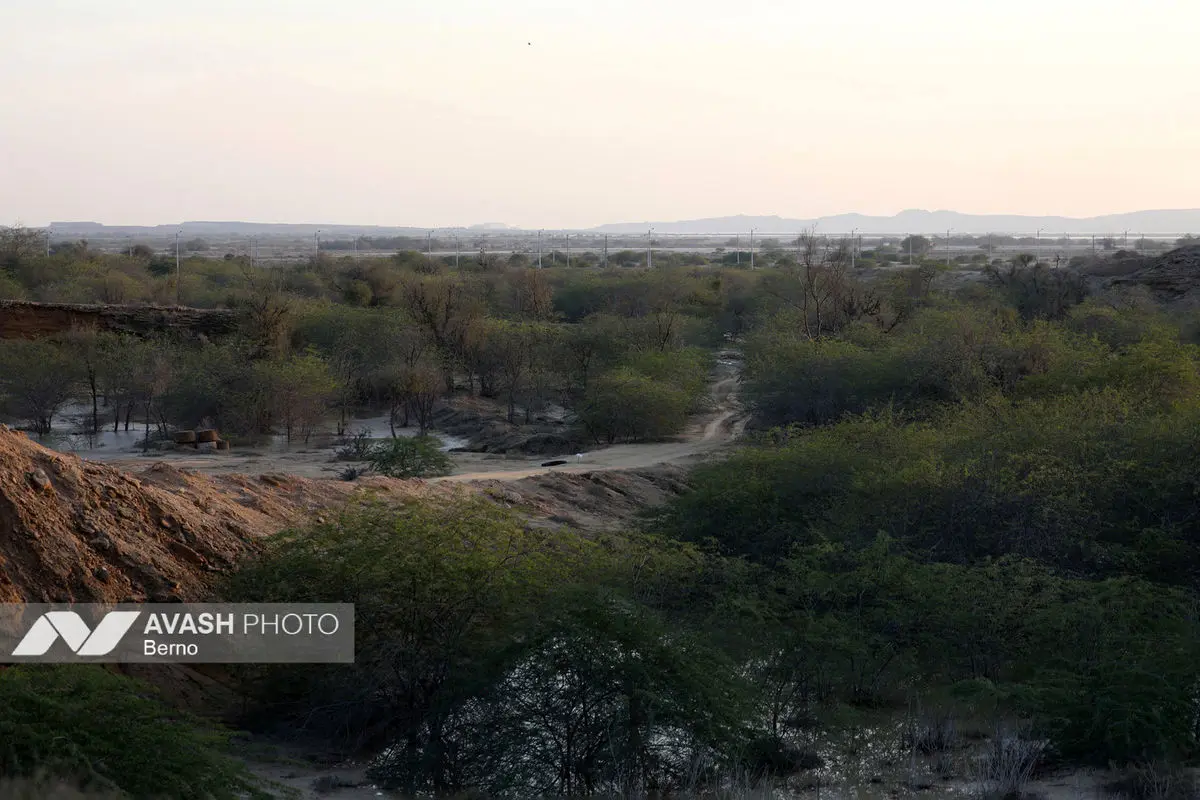 سد خالصی، بزرگترین سد خاکی قشم