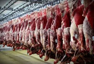 کاهش ۱۵ تا ۲۰ درصدی تولید شیر و گوشت به دلیل شیوع بیماری تب برفکی