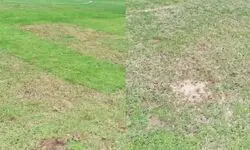 ورزشگاه تختی تا خرداد از دسترس خارج شد
