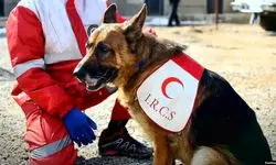 امدادرسانی هلال احمر به ۵۰۰۰ نفر 