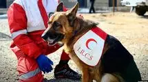 پیام ایران به مناسبت روز جهانی صلیب‌ سرخ و هلال‌احمر
