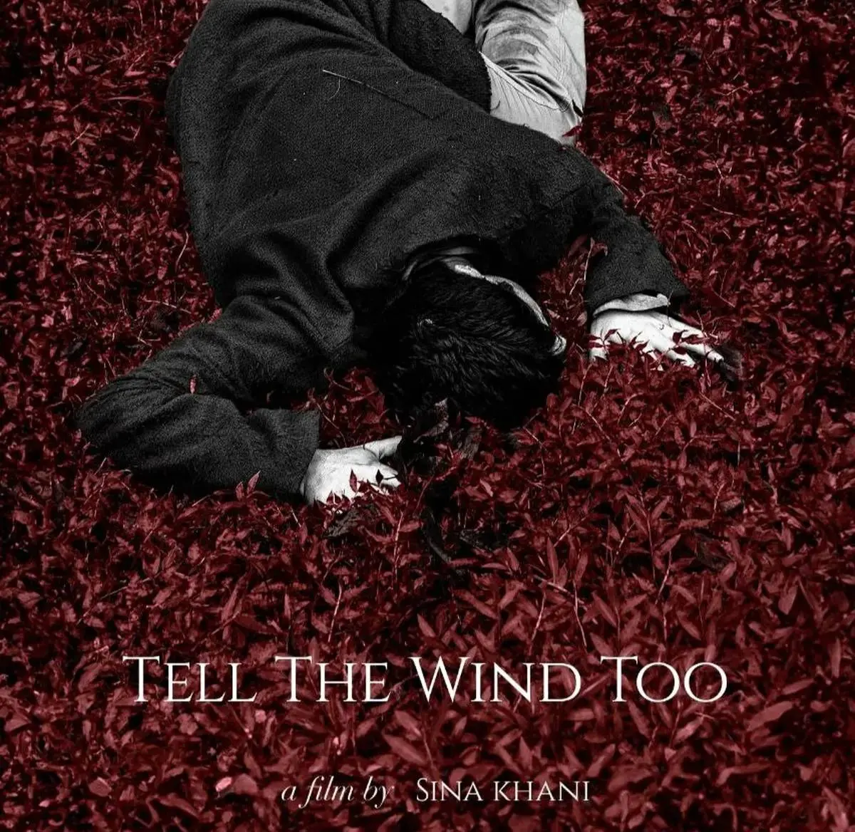 «به باد هم بگو» برنده جشنواره فیلم مادرید شد